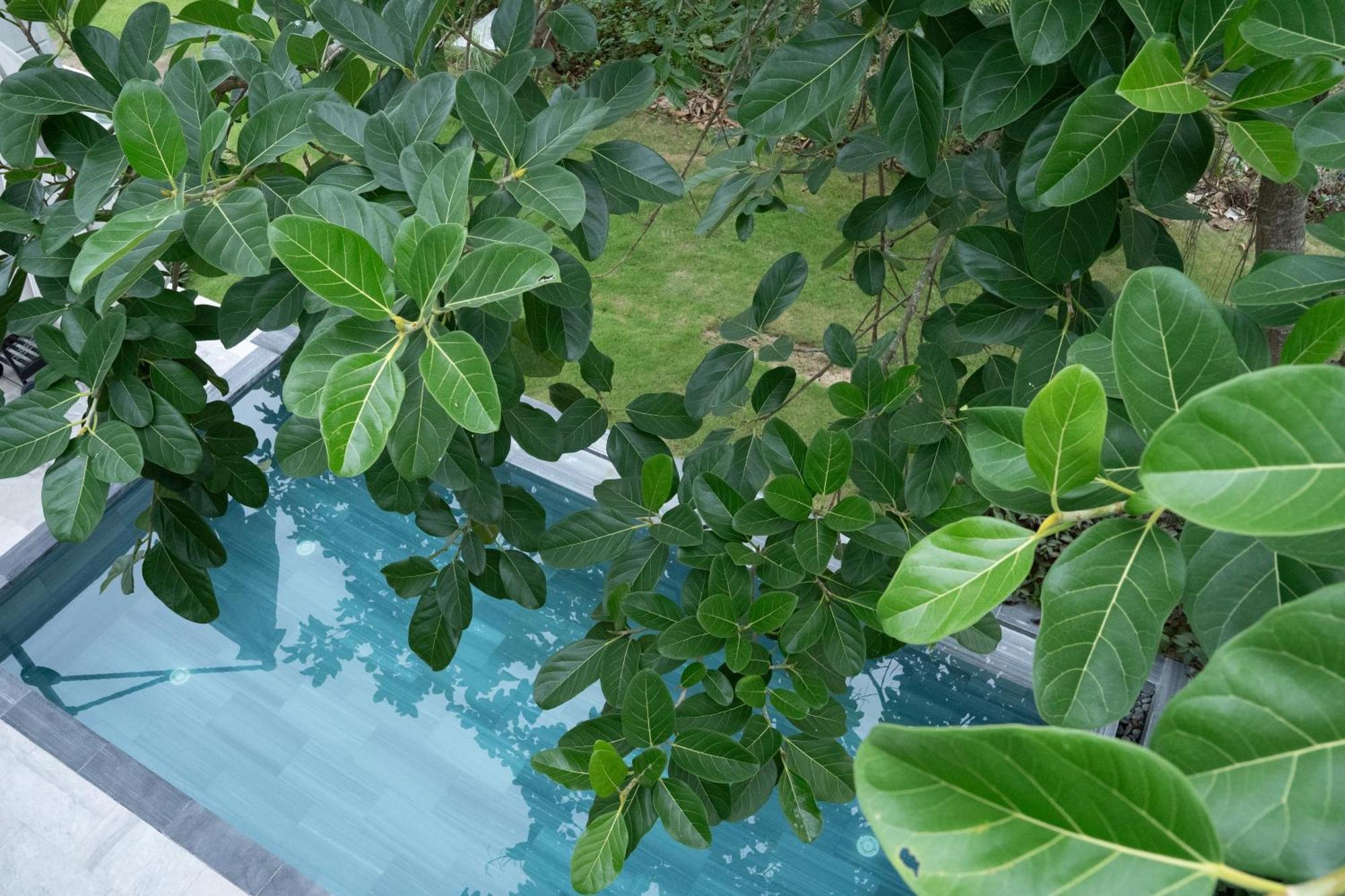 "Brg Golf Club" - Danang Private Pool Villa 3 Bedrooms #1 エクステリア 写真